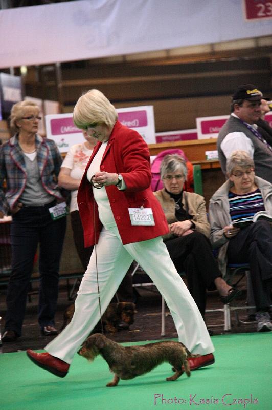 Crufts2011_2 1588.jpg